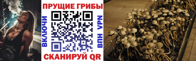 Галлюциногенные грибы мухоморы  Купить закладки  Дмитриев 